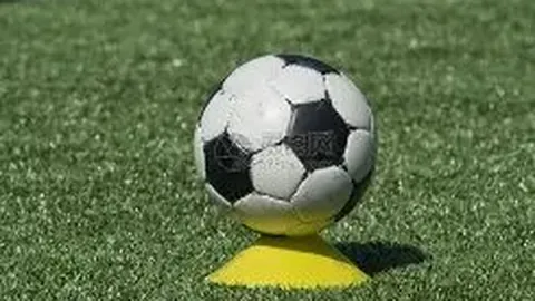 老鹰连胜势头强劲，杨揽下高分篮板助力，破鹈鹕9败之局；绿军强势击败热火